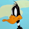 Daffy
