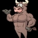 bulls13