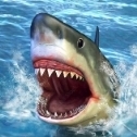 sharkattack